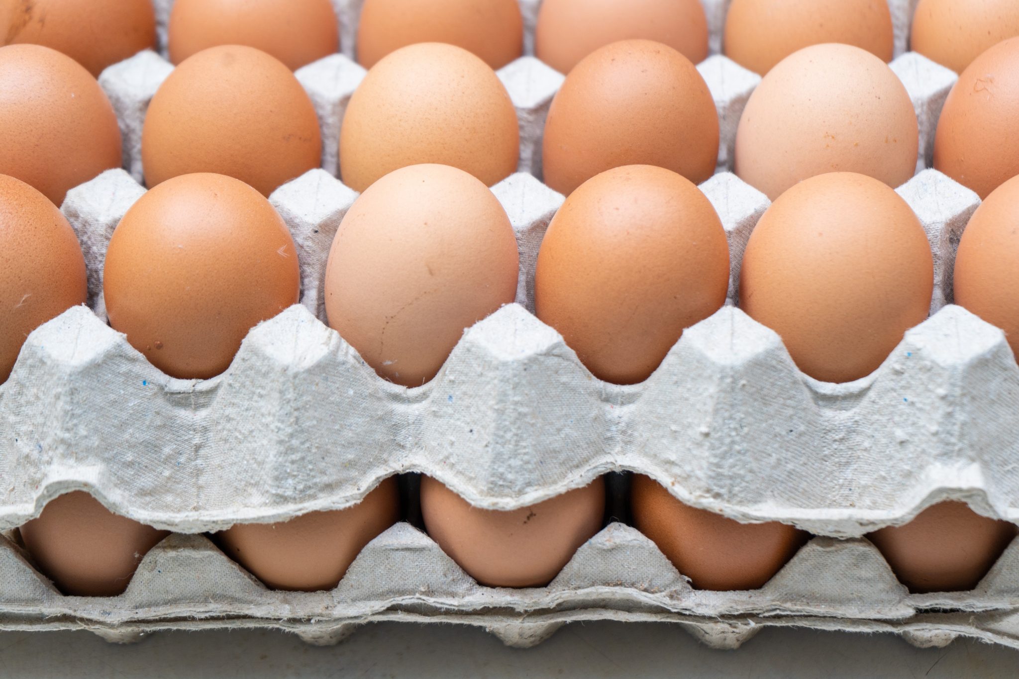 huevos-1-2048×1365