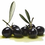 Aceituna Mediana 250 Gr
