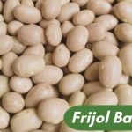 Frijol Bayo Saco 50 KG