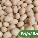 Frijol Bayo Saco 50 KG